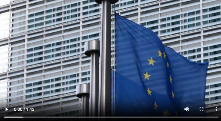 The  Amended EC Directive on EWCs, in 2 minutes (video)